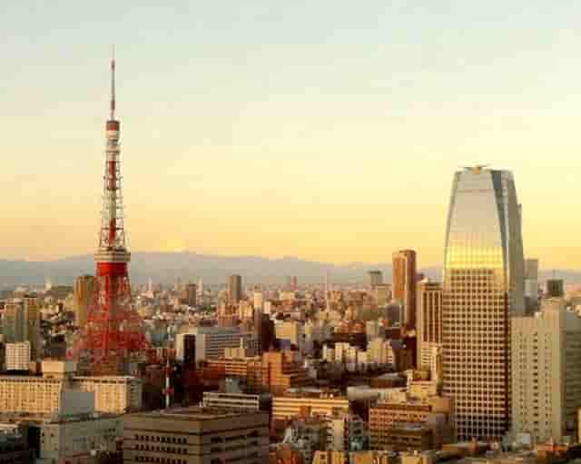 袖虎病猫攻略：猫眼睛无神？不是对你不满，很可能是少了这个